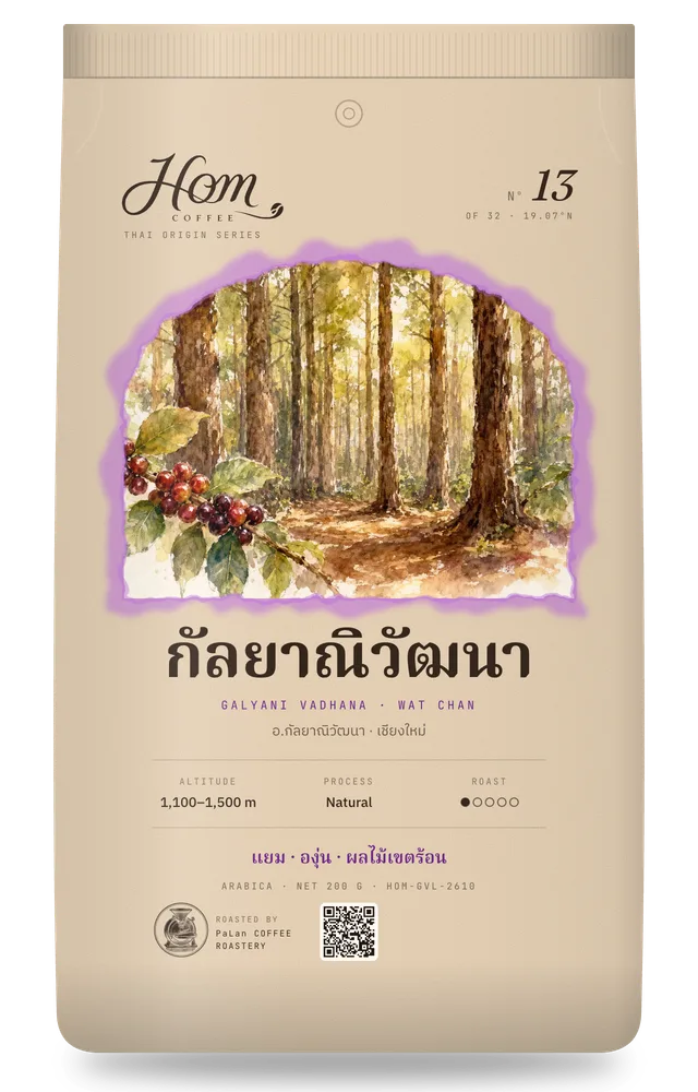 ถุงกาแฟ HOM Nº13 กัลยาณิวัฒนา